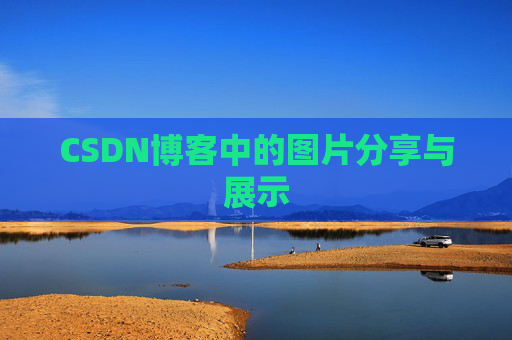 CSDN博客中的图片分享与展示